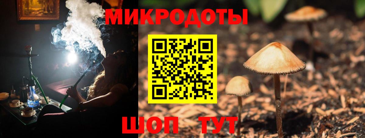 Хабаровск  Галлюциногенные грибы Psilocybine cubensis  Вход с VPN 
